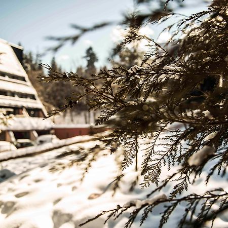 Moura Boutique Hotel By Asteri Hotels Borovets Ngoại thất bức ảnh
