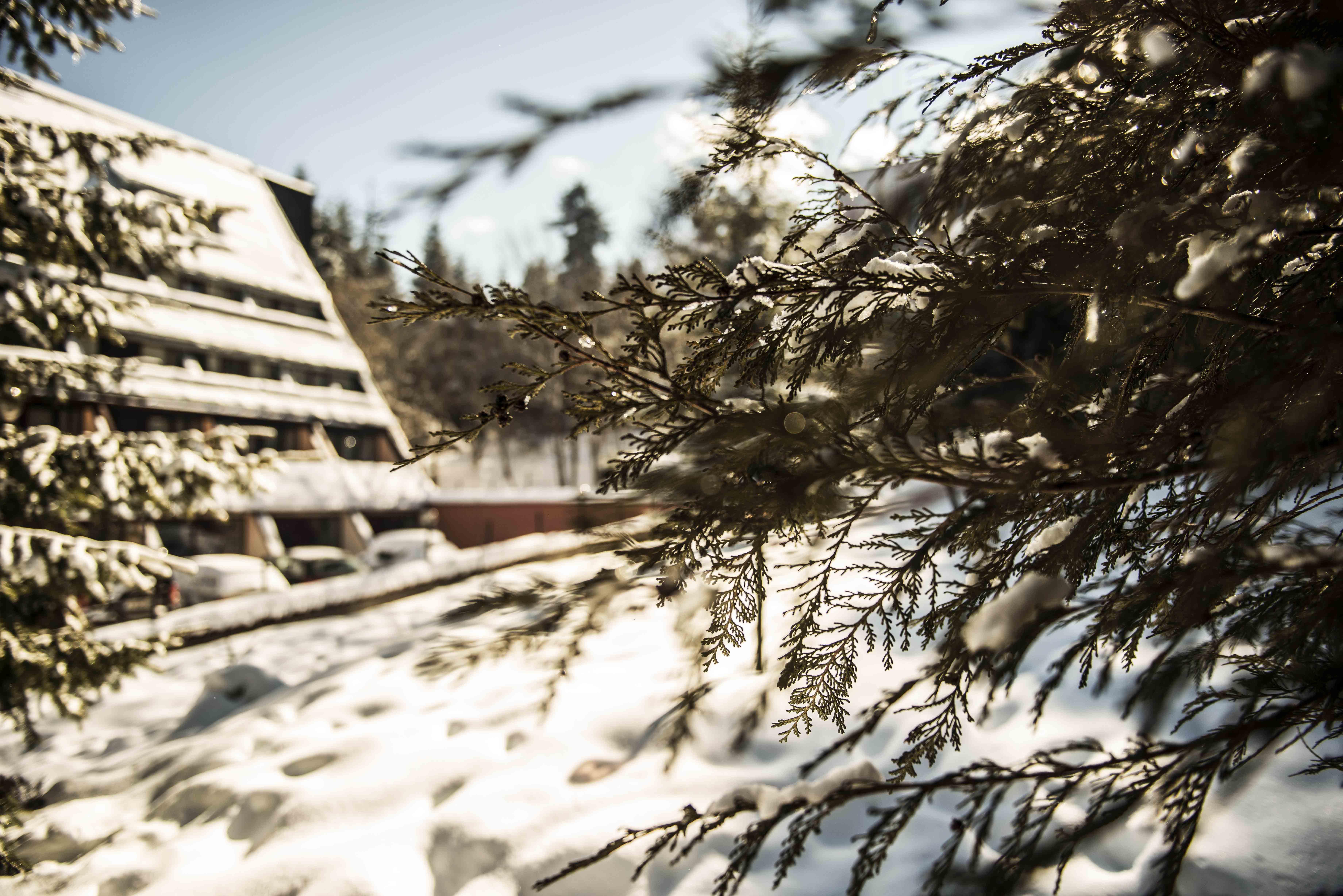 Moura Boutique Hotel By Asteri Hotels Borovets Ngoại thất bức ảnh